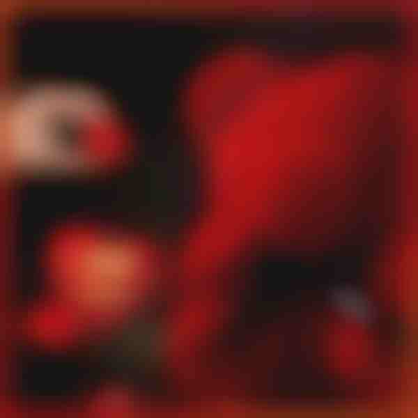 Подаръкът, който говори за любов | LOVEBEAR